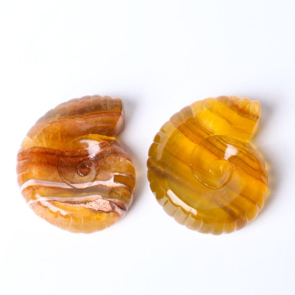 Unique Fluorite Snail Shell Shape Crystal Carving Free Form Wholesale Crystals USA