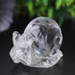 1.2-1.5" Clear Quartz Snail Crystal Carvings Wholesale Crystals USA
